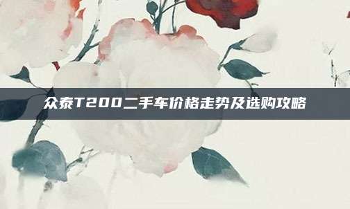 众泰T200二手车价格走势及选购攻略