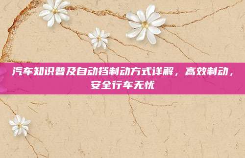 汽车知识普及自动挡制动方式详解,高效制动,安全行车无忧