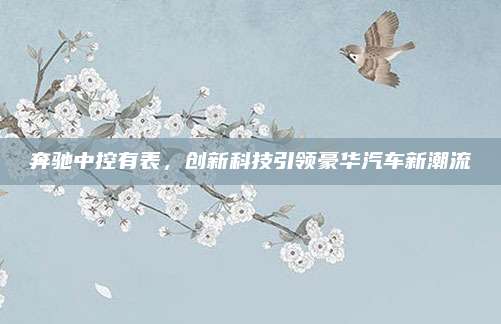 奔驰中控有表,创新科技引领豪华汽车新潮流