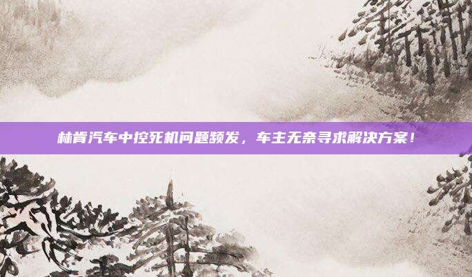 林肯汽车中控死机问题频发,车主无奈寻求解决方案!