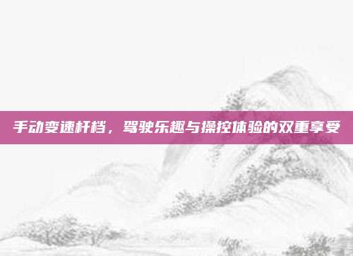 手动变速杆档,驾驶乐趣与操控体验的双重享受