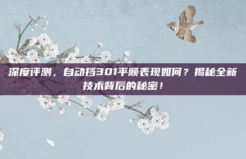深度评测，自动挡301平顺表现如何？揭秘全新技术背后的秘密！