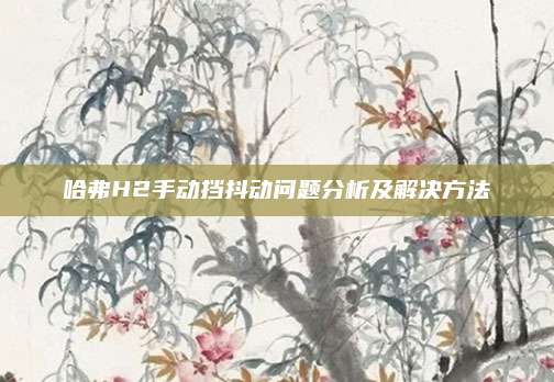 哈弗H2手动挡抖动问题分析及解决方法