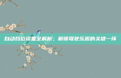 自动挡位设置全解析,解锁驾驶乐趣的关键一环