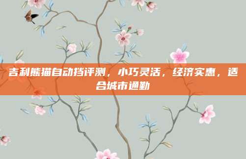 吉利熊猫自动挡评测,小巧灵活,经济实惠,适合城市通勤