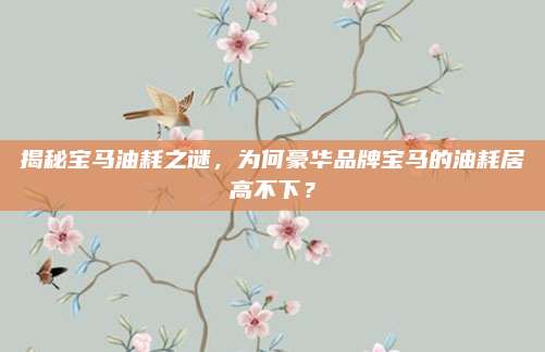 揭秘宝马油耗之谜，为何豪华品牌宝马的油耗居高不下？