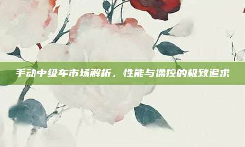 手动中级车市场解析,性能与操控的极致追求