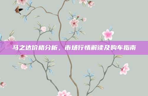 马之达价格分析,市场行情解读及购车指南