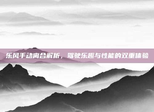 乐风手动离合解析,驾驶乐趣与性能的双重体验