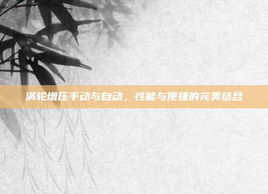 涡轮增压手动与自动，性能与便捷的完美结合