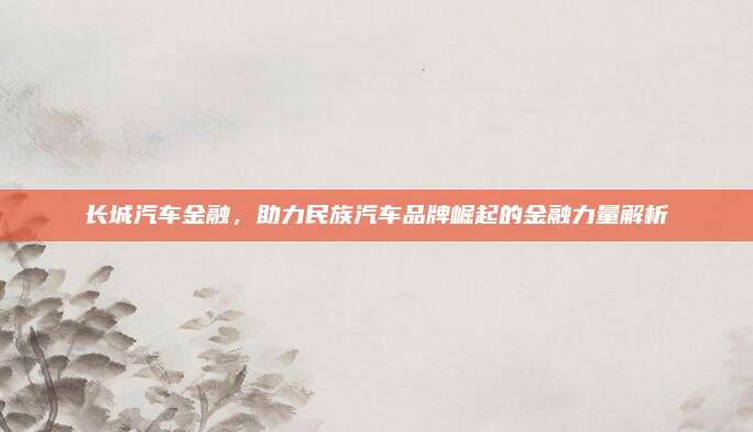长城汽车金融,助力民族汽车品牌崛起的金融力量解析