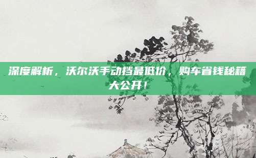 深度解析,沃尔沃手动挡最低价,购车省钱秘籍大公开!