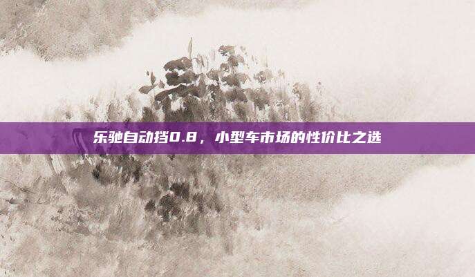 乐驰自动挡0.8,小型车市场的性价比之选