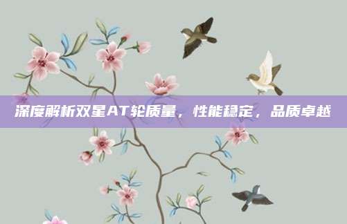 深度解析双星AT轮质量,性能稳定,品质卓越