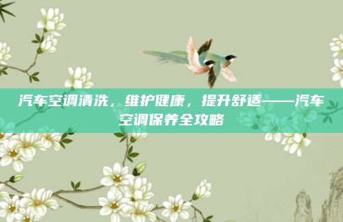 汽车空调清洗,维护健康,提升舒适——汽车空调保养全攻略