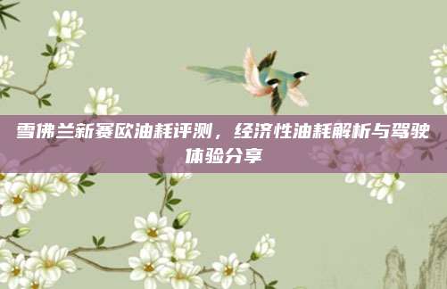 雪佛兰新赛欧油耗评测,经济性油耗解析与驾驶体验分享