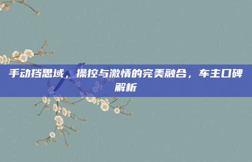 手动挡思域,操控与激情的完美融合,车主口碑解析