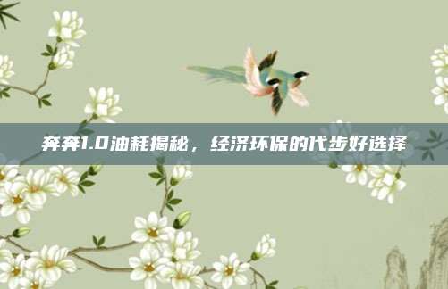 奔奔1.0油耗揭秘,经济环保的代步好选择