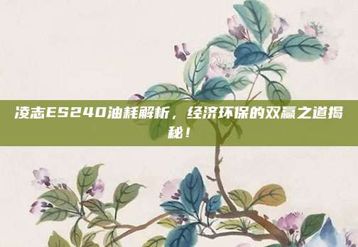 凌志ES240油耗解析,经济环保的双赢之道揭秘!