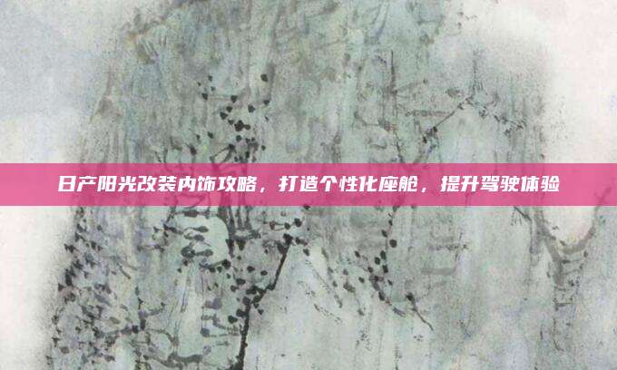 日产阳光改装内饰攻略,打造个性化座舱,提升驾驶体验