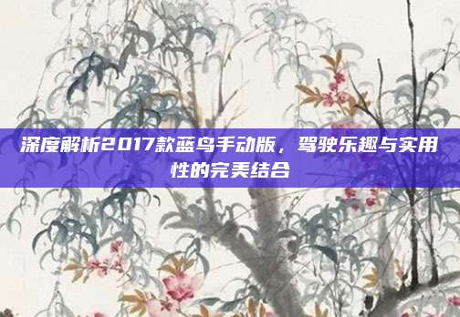 深度解析2017款蓝鸟手动版,驾驶乐趣与实用性的完美结合