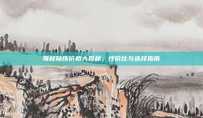 驾校陪练价格大揭秘,性价比与选择指南