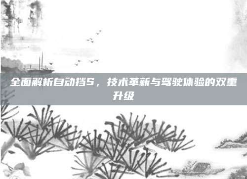 全面解析自动挡S,技术革新与驾驶体验的双重升级
