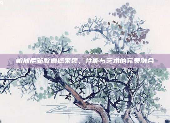 帕加尼新款震撼来袭,性能与艺术的完美融合