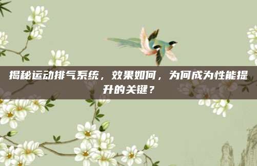 揭秘运动排气系统,效果如何,为何成为性能提升的关键?
