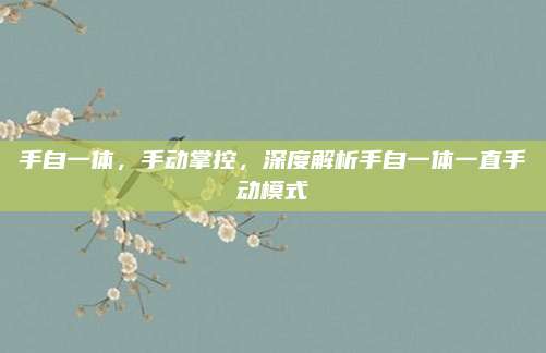 手自一体,手动掌控,深度解析手自一体一直手动模式