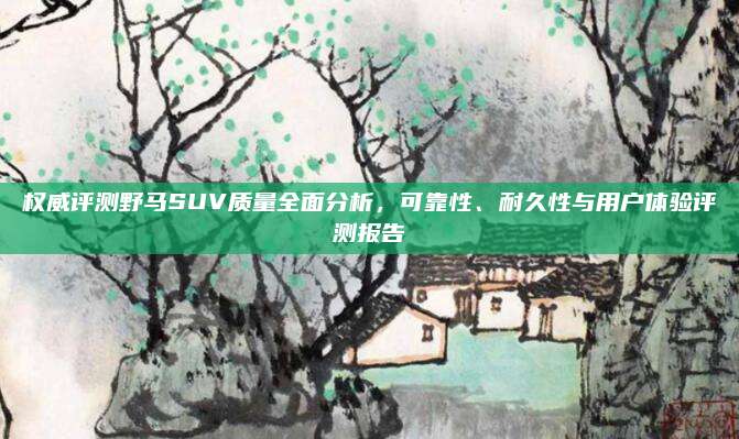 权威评测野马SUV质量全面分析,可靠性、耐久性与用户体验评测报告