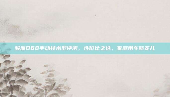 骏派D60手动技术型评测,性价比之选,家庭用车新宠儿