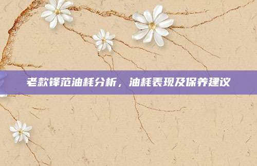 老款锋范油耗分析,油耗表现及保养建议