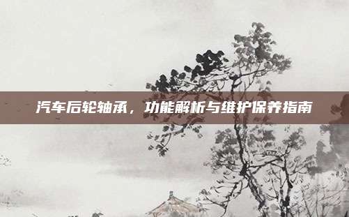 汽车后轮轴承,功能解析与维护保养指南