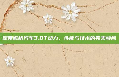 深度解析汽车3.0T动力,性能与技术的完美融合