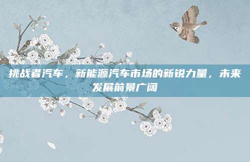 挑战者汽车，新能源汽车市场的新锐力量，未来发展前景广阔