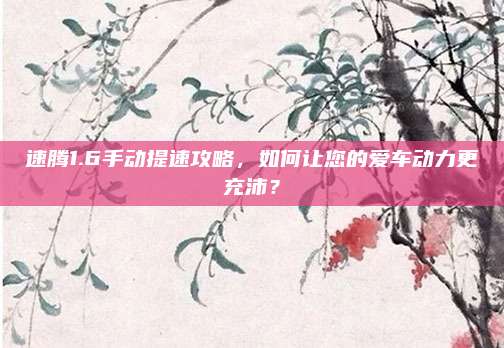 速腾1.6手动提速攻略，如何让您的爱车动力更充沛？