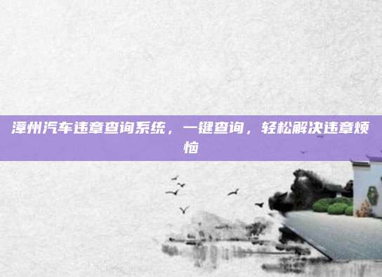 漳州汽车违章查询系统,一键查询,轻松解决违章烦恼