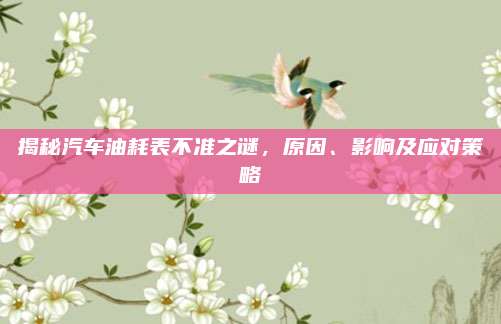 揭秘汽车油耗表不准之谜,原因、影响及应对策略