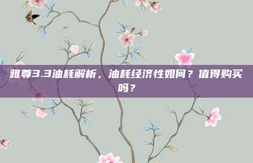 雅尊3.3油耗解析,油耗经济性如何?值得购买吗?