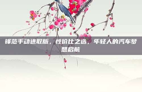 锋范手动进取版,性价比之选,年轻人的汽车梦想启航
