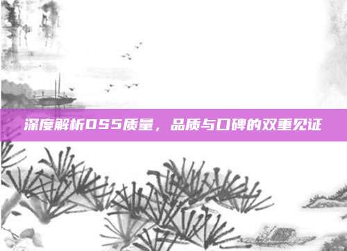 深度解析DS5质量,品质与口碑的双重见证