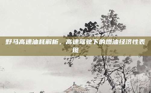 野马高速油耗解析,高速驾驶下的燃油经济性表现