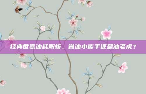 经典世嘉油耗解析，省油小能手还是油老虎？