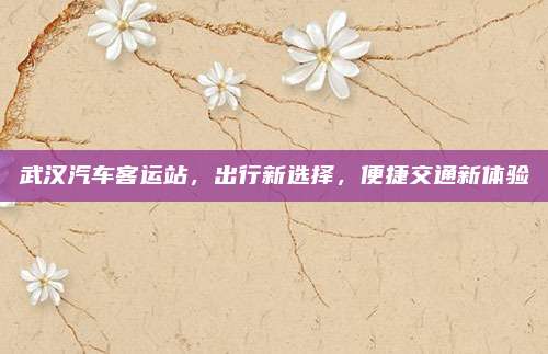 武汉汽车客运站，出行新选择，便捷交通新体验