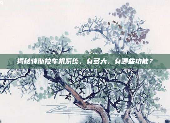 揭秘特斯拉车机系统，有多大，有哪些功能？