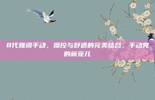 8代雅阁手动，操控与舒适的完美结合，手动党的新宠儿
