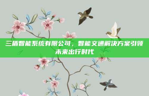 三盾智能系统有限公司，智能交通解决方案引领未来出行时代