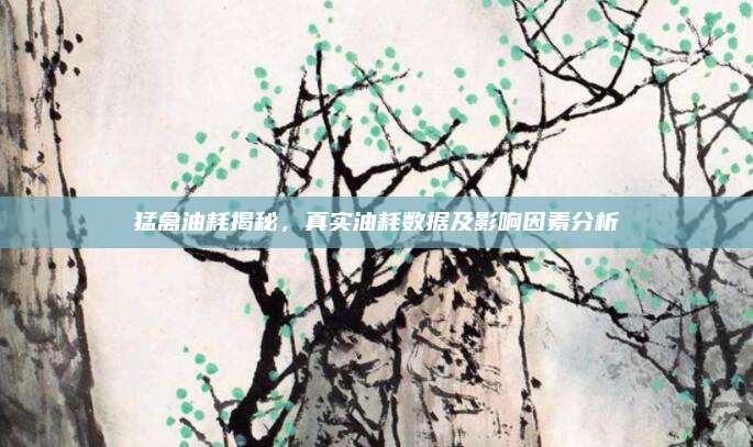 猛禽油耗揭秘,真实油耗数据及影响因素分析