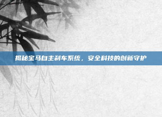 揭秘宝马自主刹车系统,安全科技的创新守护